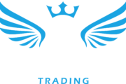 sky star white logo